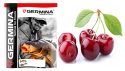 Germina WIŚNIA - zanęta wędkarska 1 kg